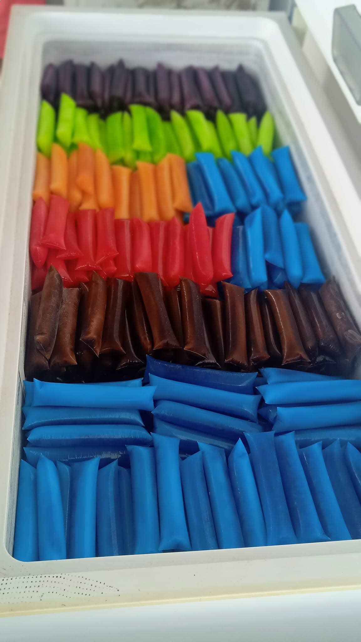 Refrigerador con Bolis 1