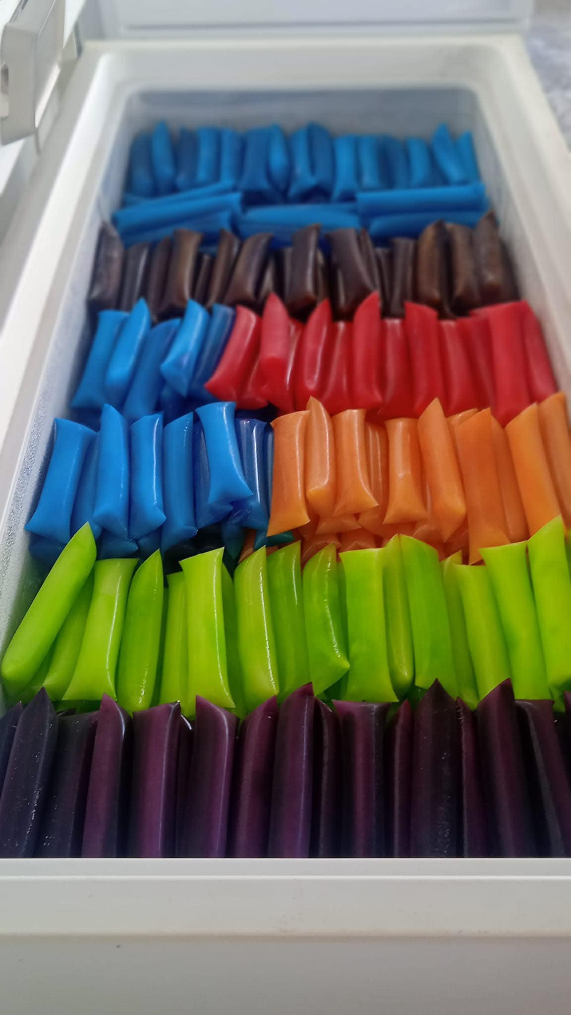 Refrigerador con Bolis 2